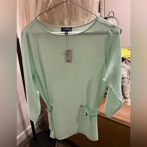 The Limited Light Green Dress